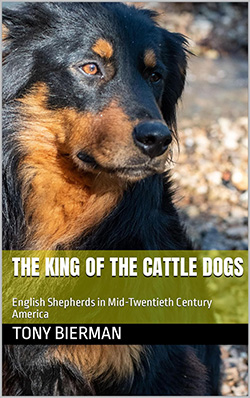 The King of the Cattle Dogs - English Shepherds in Mid-Twentieth Century America